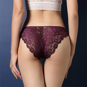 Sexy Lace Transparent Panties | Sexy Lingerie Canada